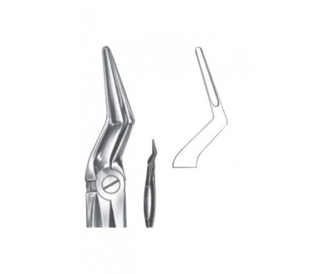 Extracting Forceps